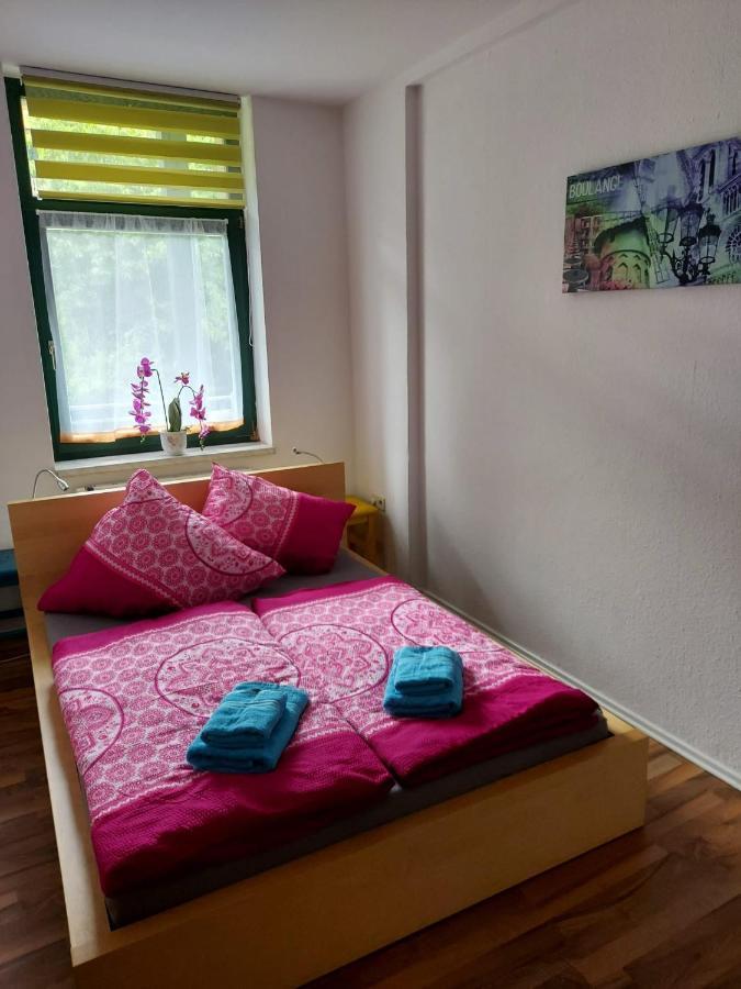 Ferienwohnung Eddi Reichenbach im Vogtland Eksteriør billede